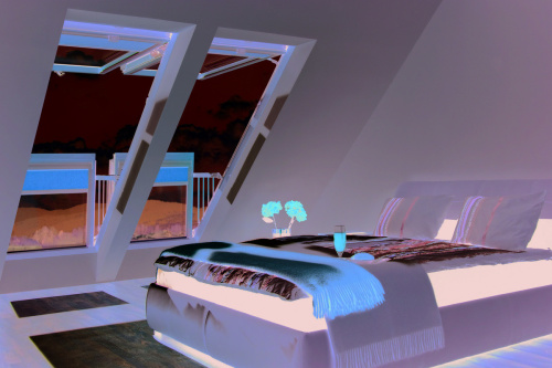 Балкон дерево, лак Fakro FGH-V P2 Galeria Lux 94*255см фото 6