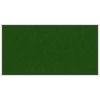 Лист оцинкованный с полимерным покрытием (окрашенный) 0.6 мм RAL 6002