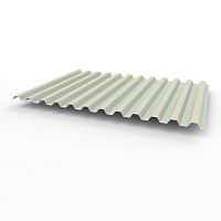 Профнастил оцинкованный с полимерным покрытием полиэстер С21 buildstor 0,4х1051мм RAL 7035 Светло-серый