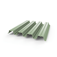 Профнастил Н75 - 0,7 (RAL 6019) с полимерным покрытием (полиэстер)
